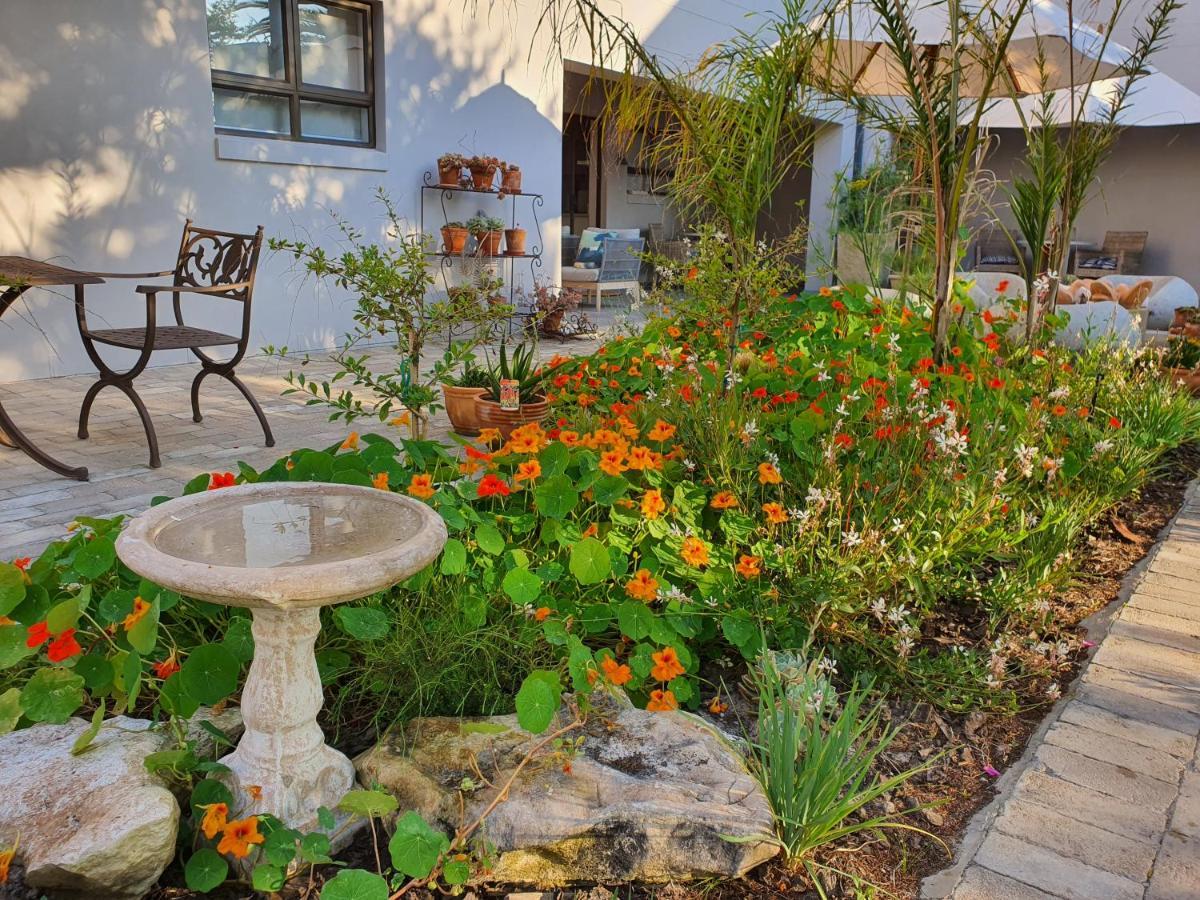 Albatross Guesthouse Langebaan Exterior foto
